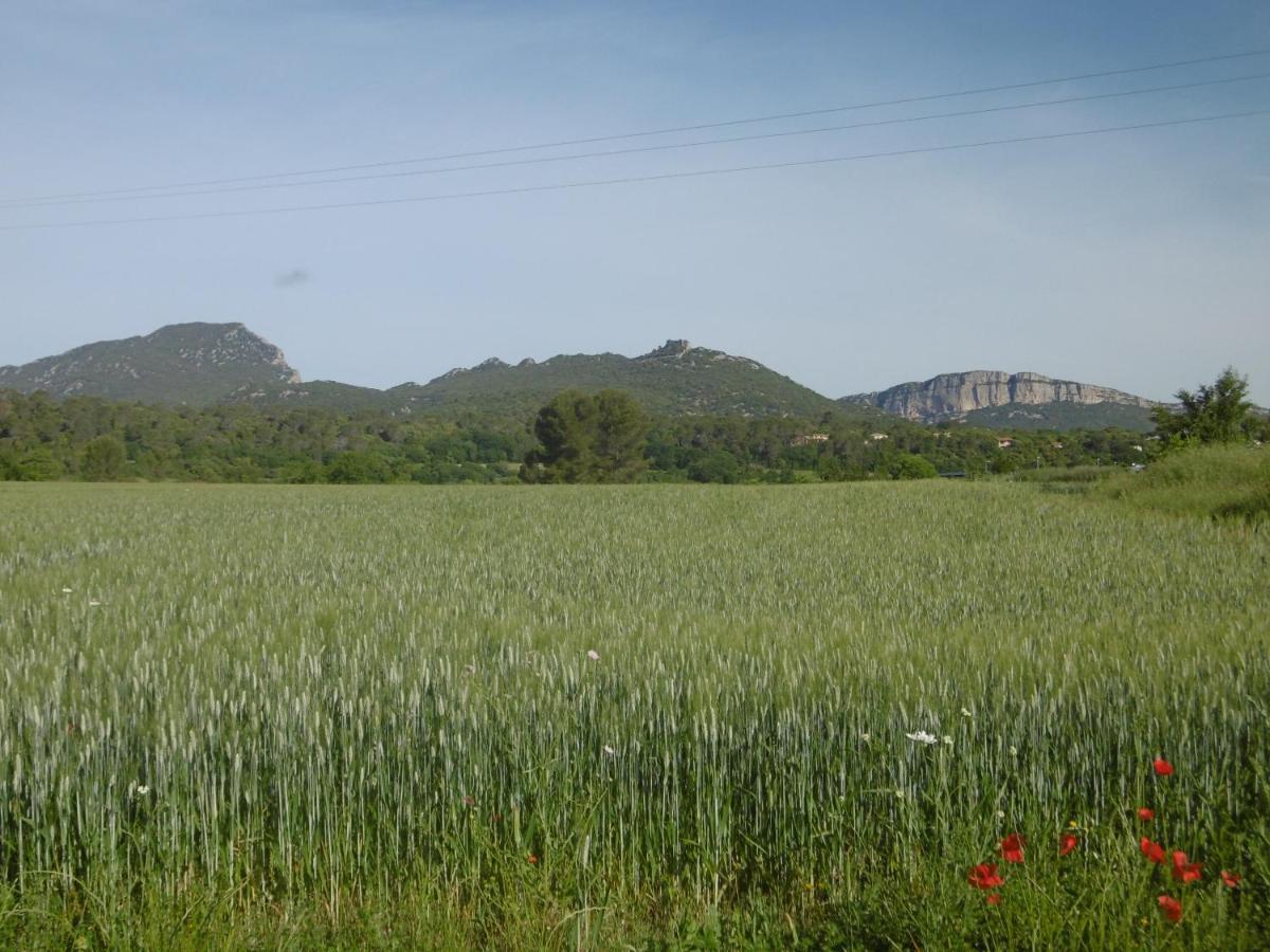 مبيت وإفطار Saint-Mathieu-de-Tréviers Le Castellas Du Pic St Loup المظهر الخارجي الصورة