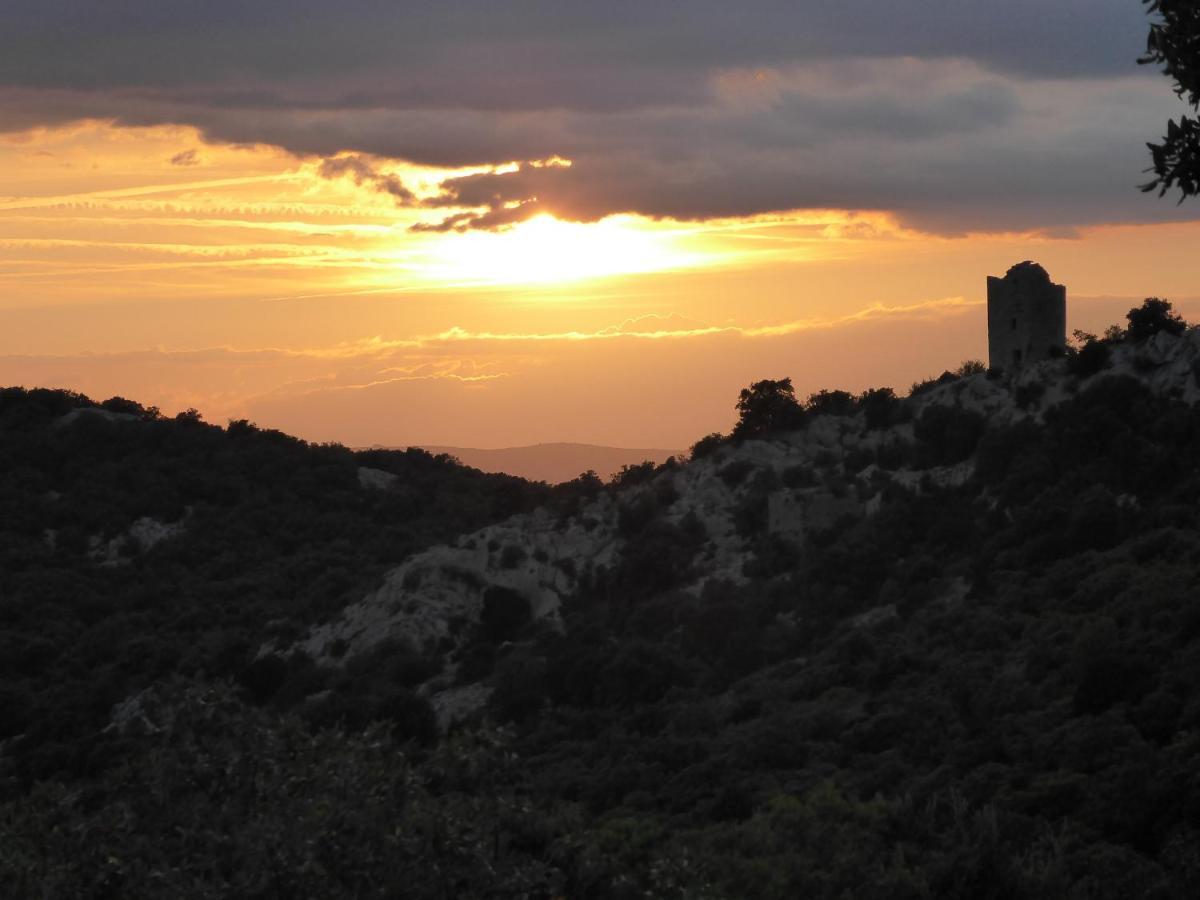 مبيت وإفطار Saint-Mathieu-de-Tréviers Le Castellas Du Pic St Loup المظهر الخارجي الصورة