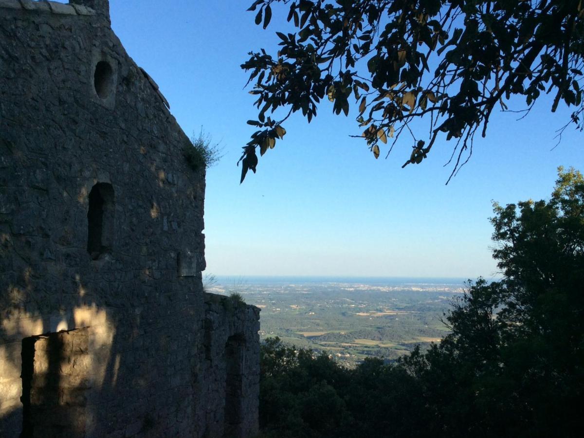 مبيت وإفطار Saint-Mathieu-de-Tréviers Le Castellas Du Pic St Loup المظهر الخارجي الصورة