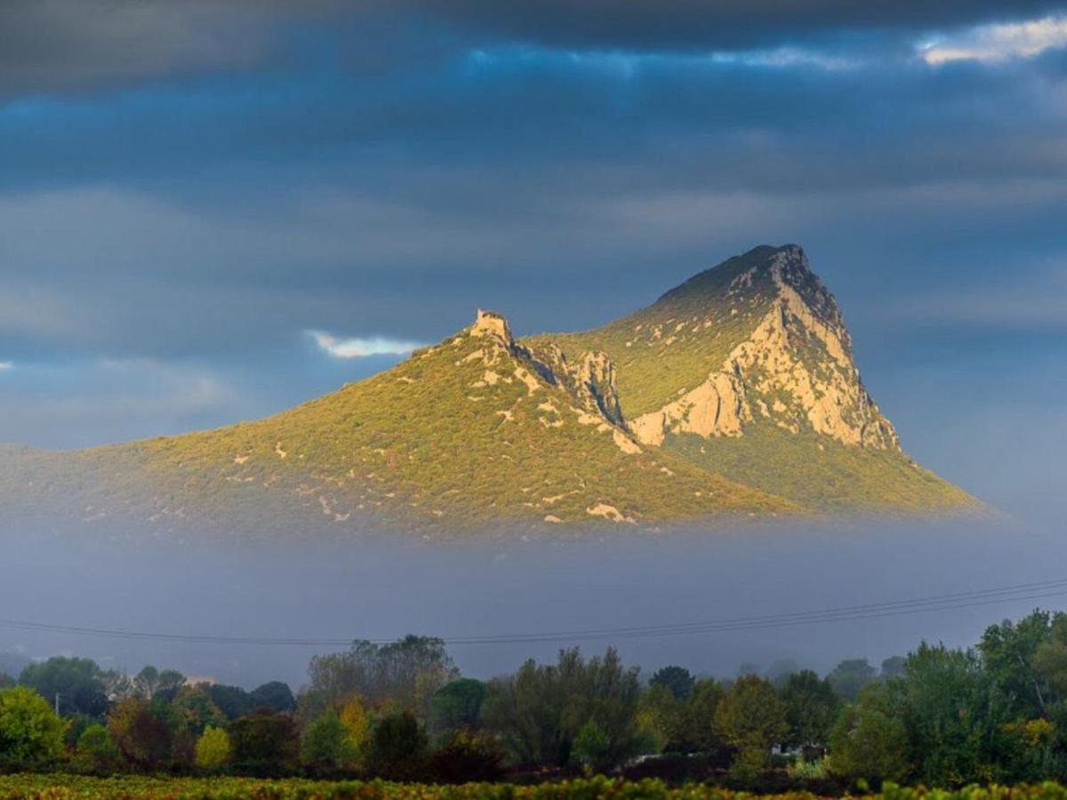 مبيت وإفطار Saint-Mathieu-de-Tréviers Le Castellas Du Pic St Loup المظهر الخارجي الصورة