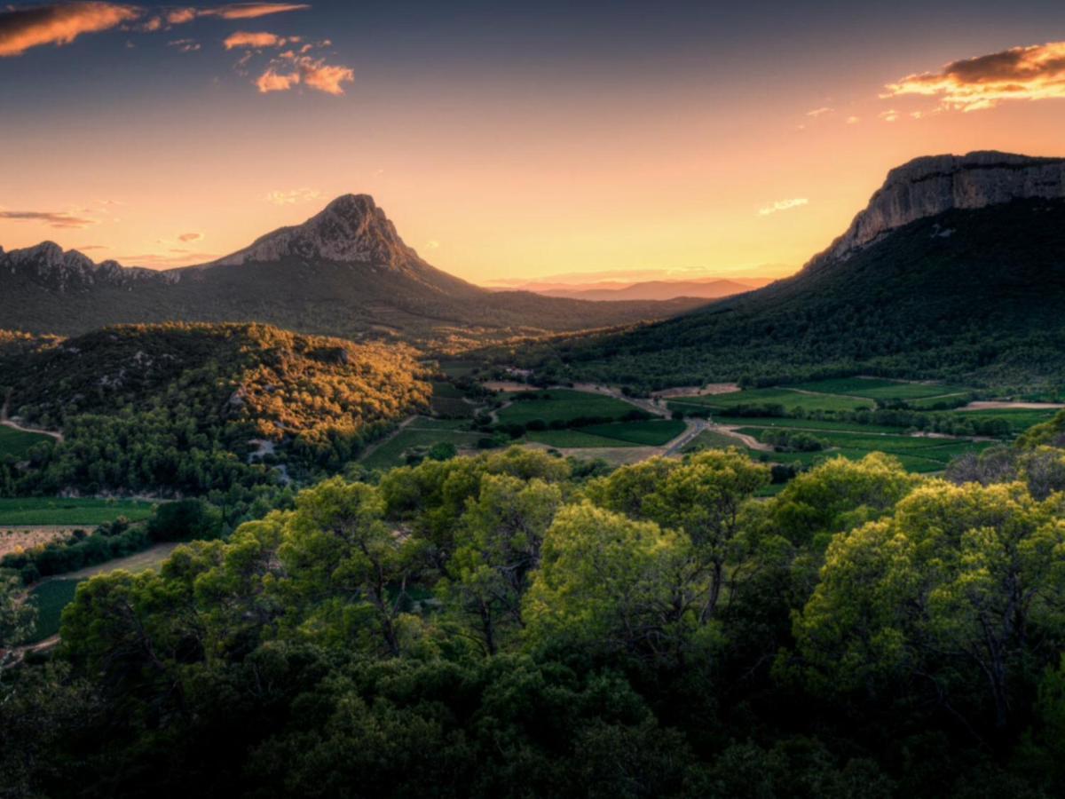 مبيت وإفطار Saint-Mathieu-de-Tréviers Le Castellas Du Pic St Loup المظهر الخارجي الصورة