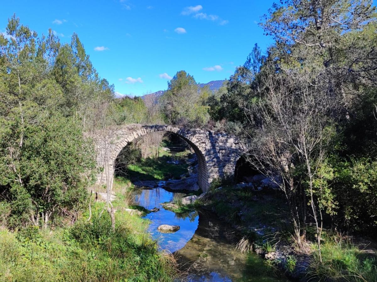 مبيت وإفطار Saint-Mathieu-de-Tréviers Le Castellas Du Pic St Loup المظهر الخارجي الصورة