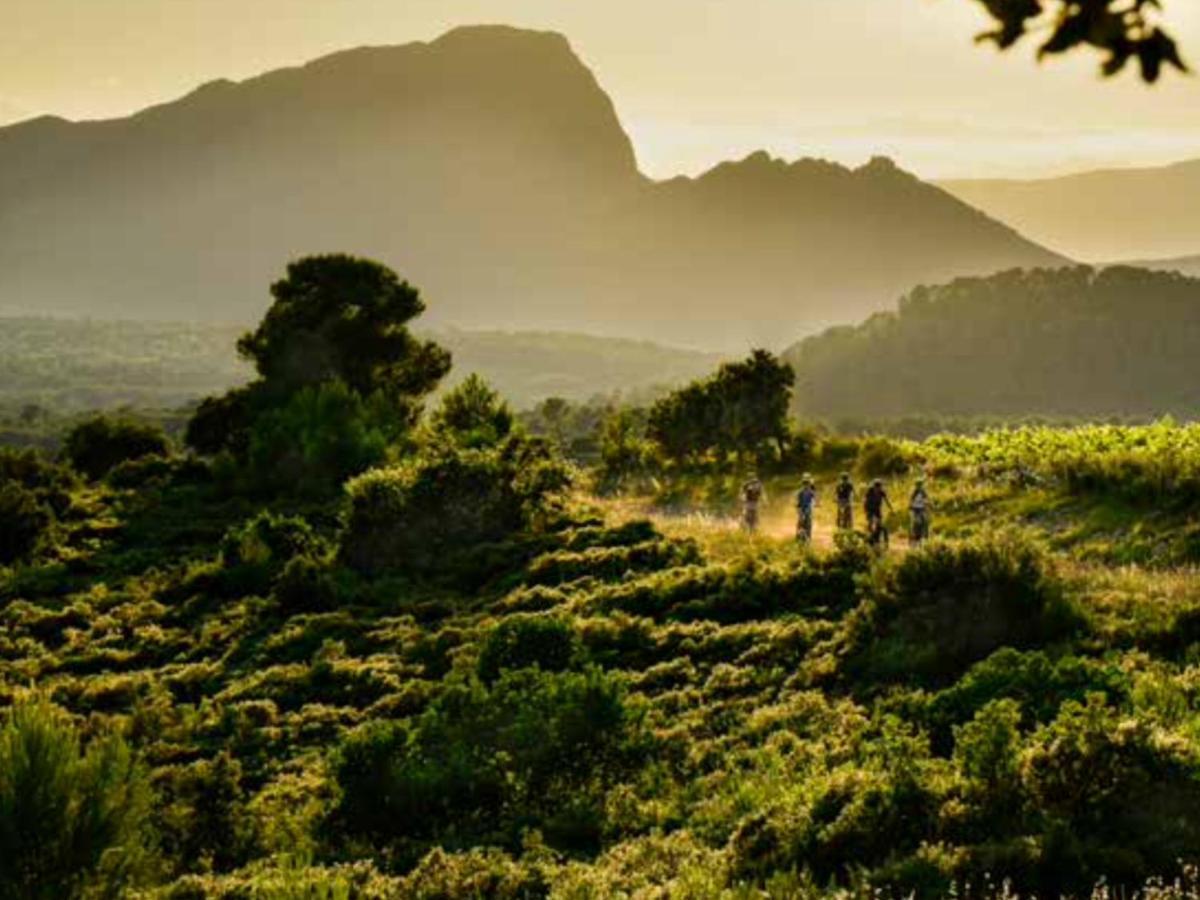 مبيت وإفطار Saint-Mathieu-de-Tréviers Le Castellas Du Pic St Loup المظهر الخارجي الصورة