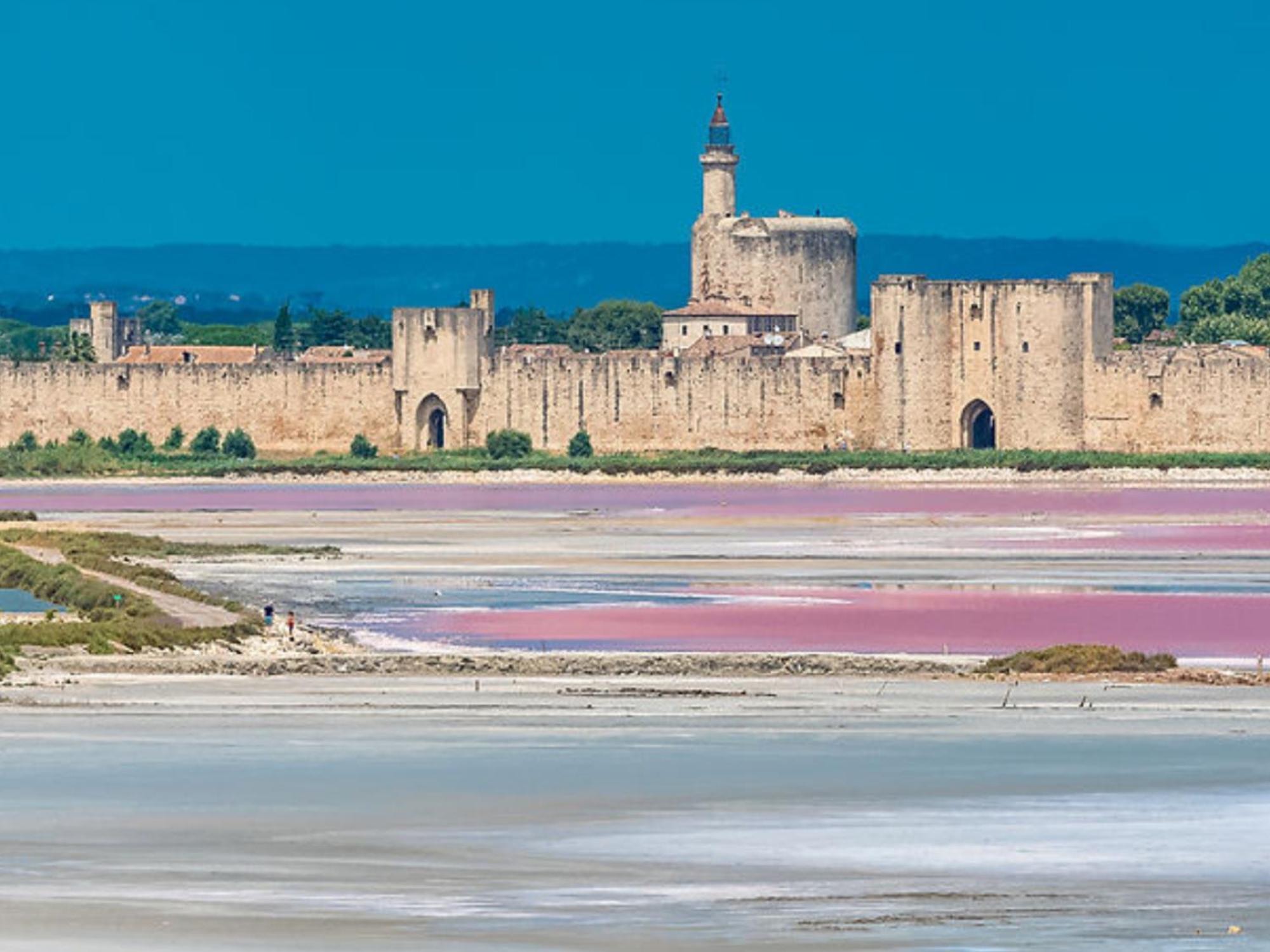 مبيت وإفطار Saint-Mathieu-de-Tréviers Le Castellas Du Pic St Loup المظهر الخارجي الصورة